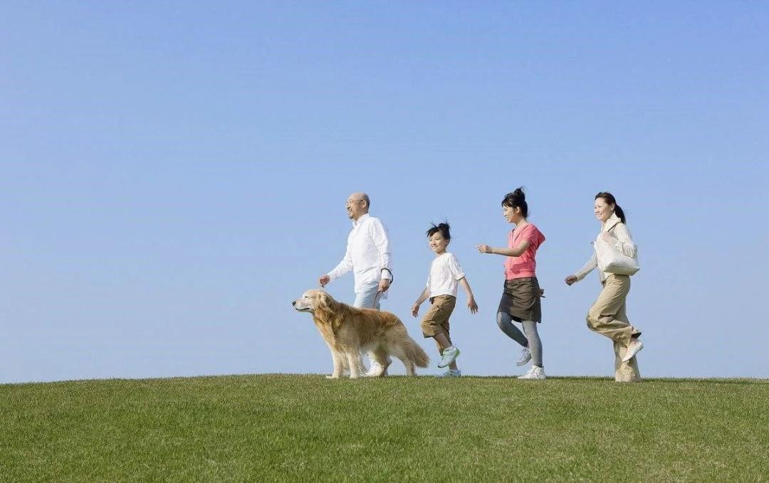 最新中国国际马拉松,下半年首个马拉松