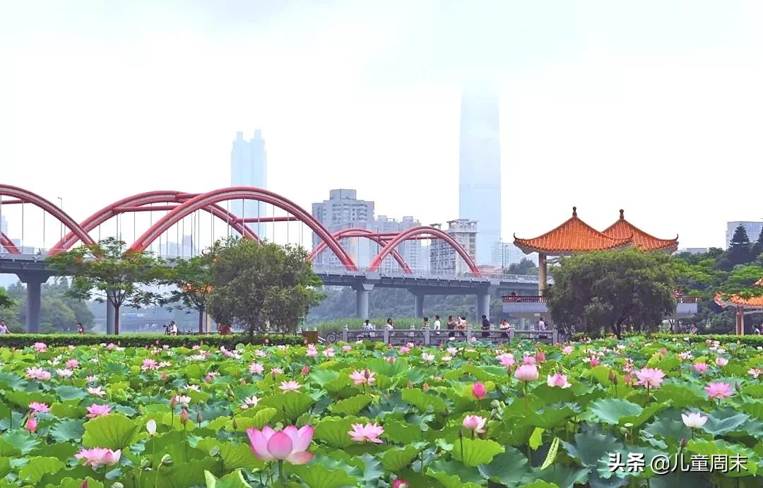 深圳十大免费景点路线,深圳10条绝美海岸线