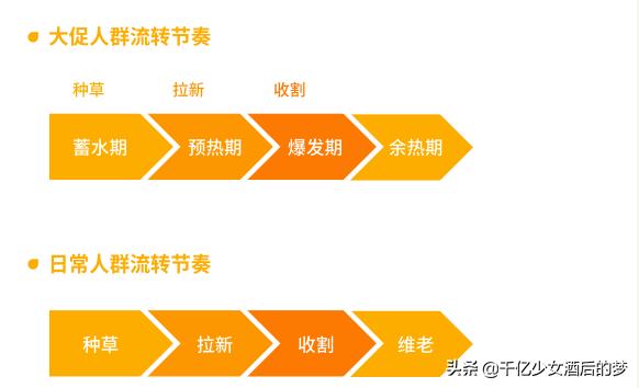 如何运营达摩盘,达摩盘人群怎么玩