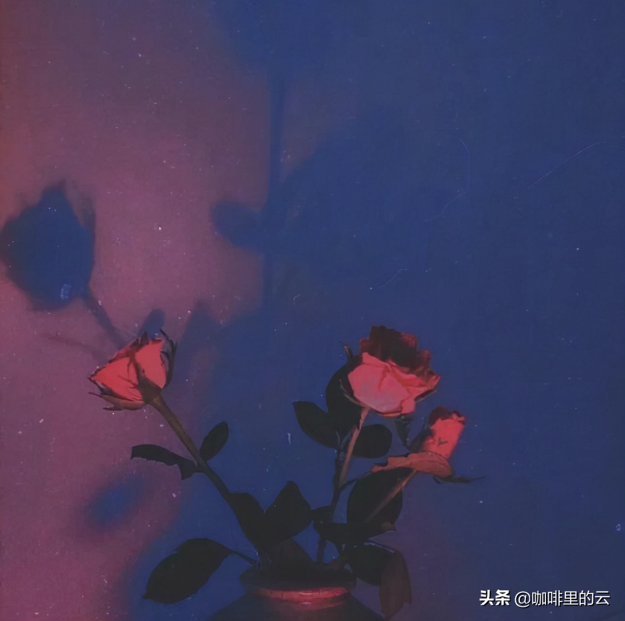 世人皆苦唯有自渡下一句是什么,世人皆苦唯有自渡配图