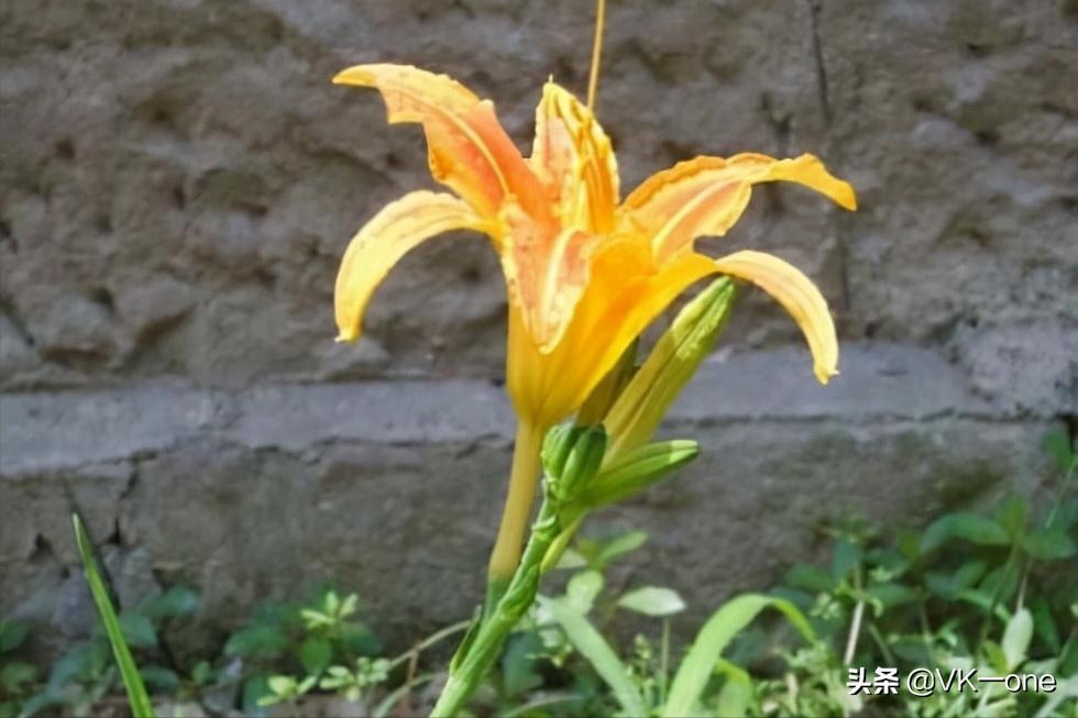 农村80后才看得懂的图和知道的经历