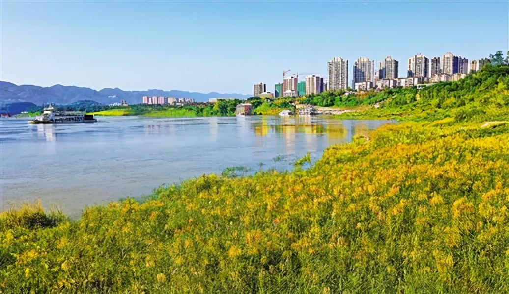 重庆大竹林值得买房吗,大竹林板块不利的地方