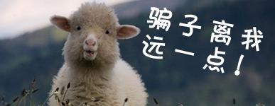 网赚真实经历大全,网赚圈的真实经历