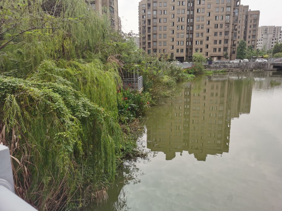 宁波卖面桥市场,宁波卖二手房子