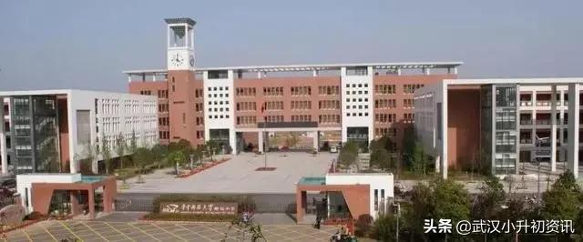 武汉东湖高新区初中,武汉东湖高新区小升初怎样择校