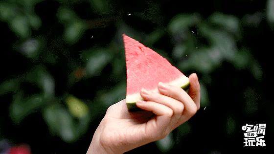 乘风破浪第几季是天花板,乘风破浪总共出几集了