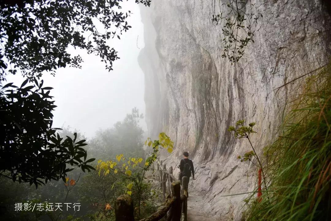 悠然三明：梅列瑞云山为佛，葡萄美酒配熏鸭