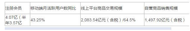 苏宁易购未来发展,苏宁易购实时情况