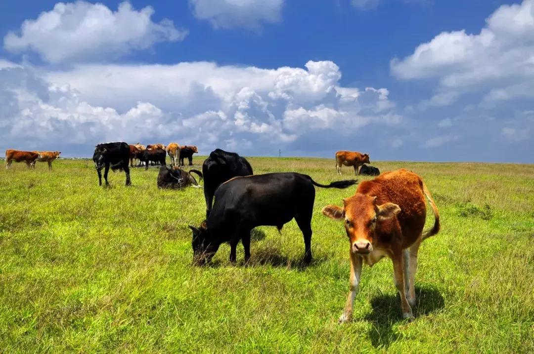 贵州旅游住宿攻略大全推荐,贵州旅游攻略几月份去好点