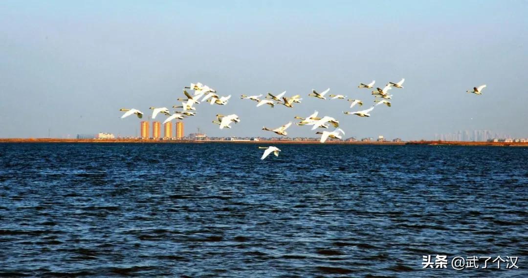 现在的天津静海,天津骄傲的大静海