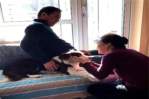 如果家人不让你养狗该怎么办,怎样说服爸妈给我养狗教你5招