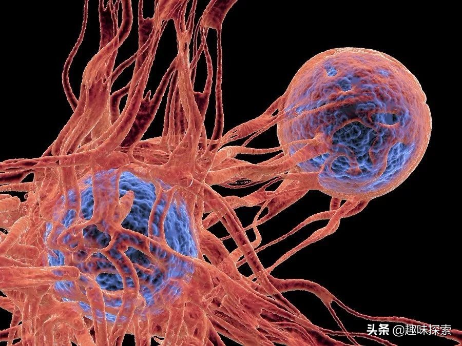 几周可治愈癌症！未来1年内推出，以色列治疗癌症取得重大突破