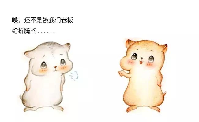 漫画的分界线在哪,中台漫画深度解析