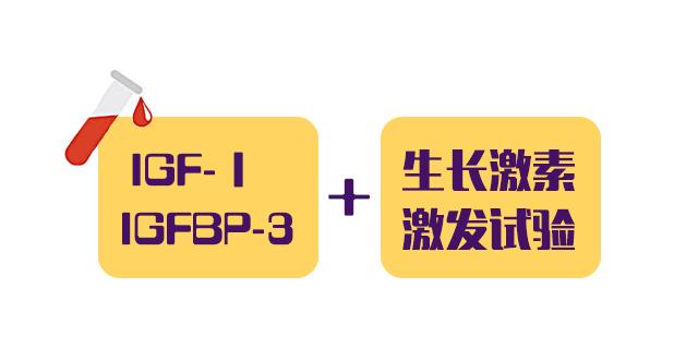 生长因子三项报告单怎么看,查什么可以知道生长因子