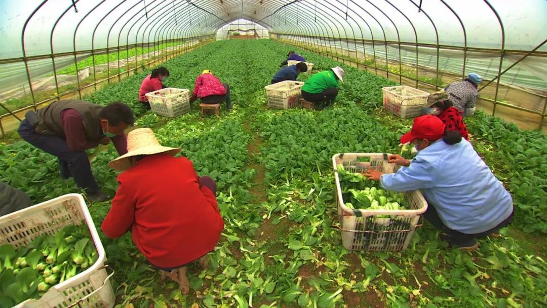 湖北省复工复产安全十必须,推动湖北复工复产