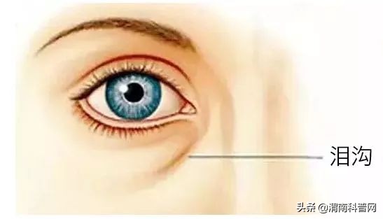 皮肤松弛引起的眼袋怎么祛除,祛除眼袋的小妙招红霉素软膏