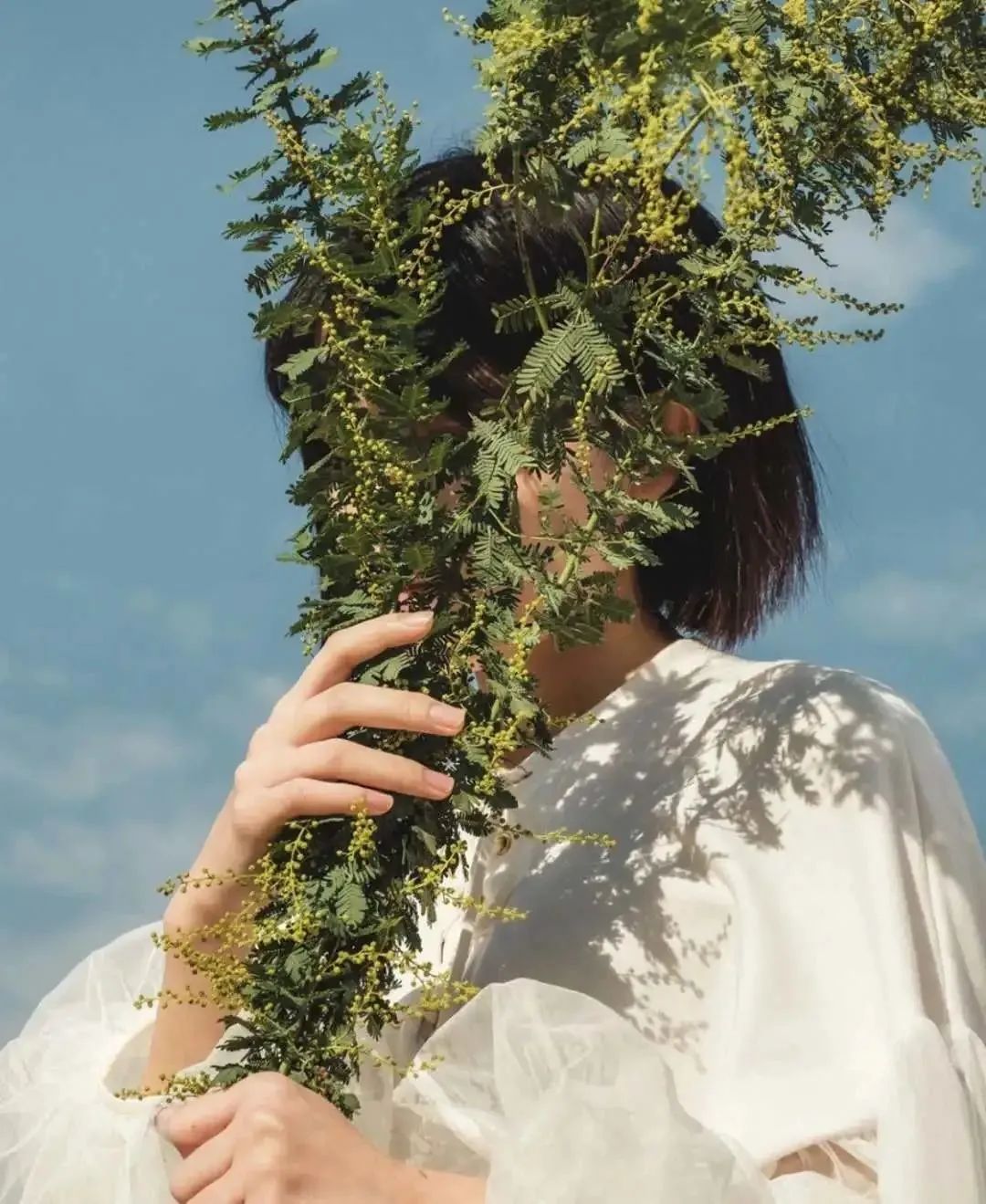 点赞他们的高光时刻,大家用手机拍出过什么好看的照片