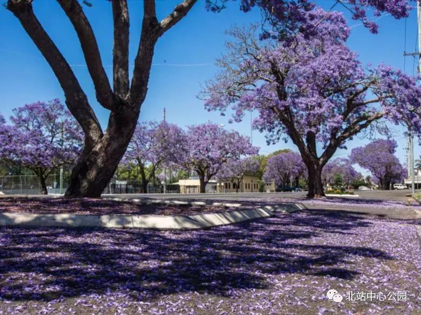 实拍深圳的一座公园,深圳有足球场的公园