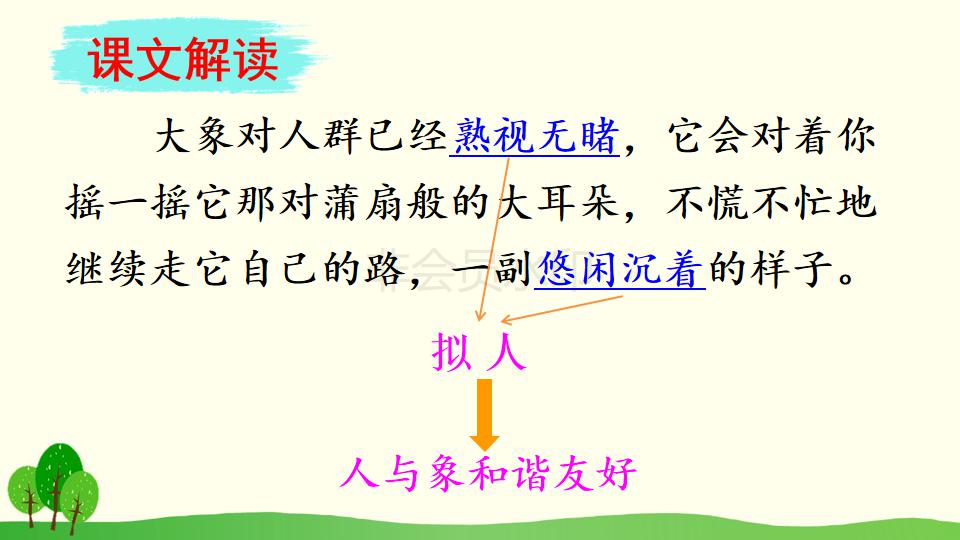 五年级下册与象共舞的作者是谁,与象共舞语文五年级下册老版