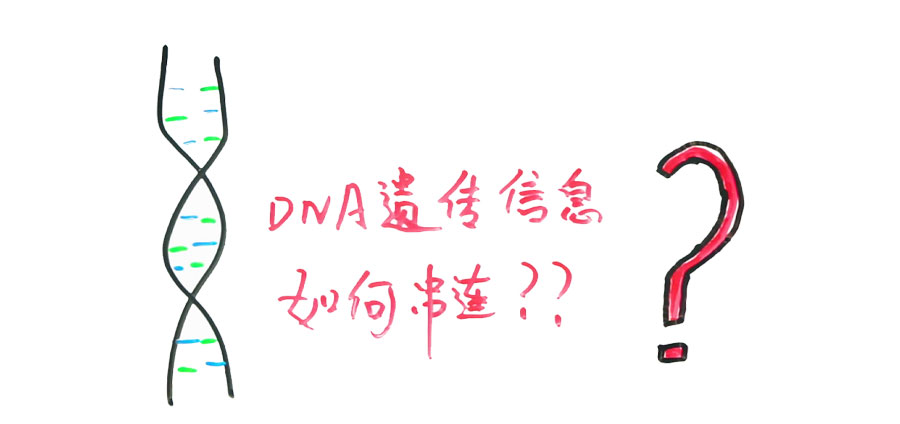 如果基因被破解会有什么后果,人类基因被破解的危害