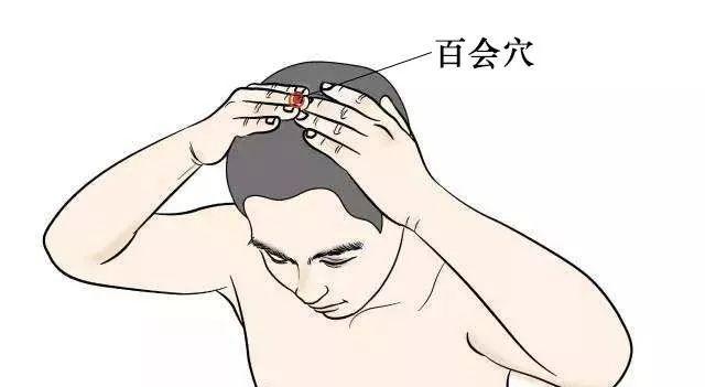 任脉督脉奇经八脉走向动图,奇经八脉和正经十二脉