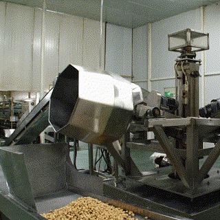 看旺旺的工厂，还以为来到了游乐园