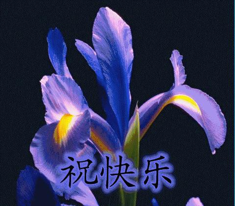 暖心的早上好问候祝福语,早上好祝福短信经典句子