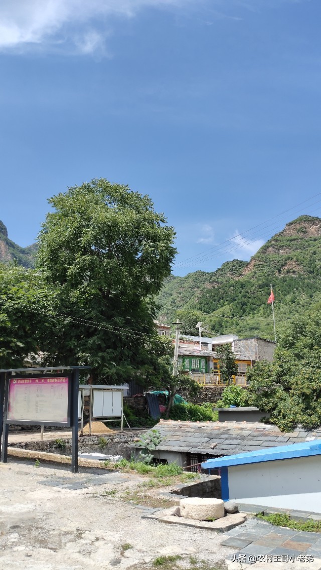 我和悬崖村的故事,我和北京小说