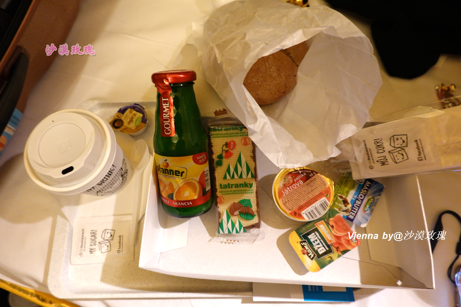 干货｜在不能自驾的捷克，手把手教你预订铁路车票