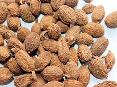 揭秘34种常用香料的名称与用途,香料图片名称大全常用