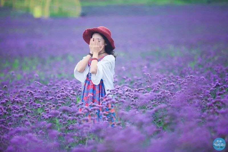 拍照圣地网红打卡大连,大连网红打卡地景点拍照