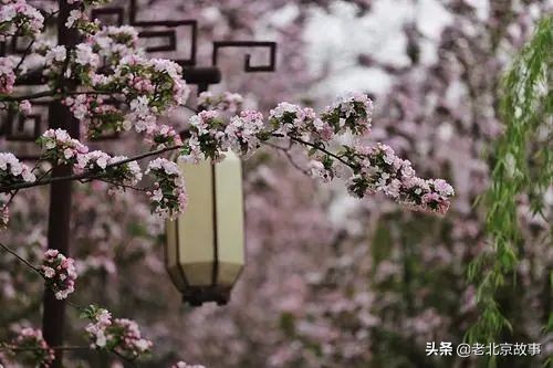 能盖章的景点北京旅游攻略,北京各大景点盖章攻略