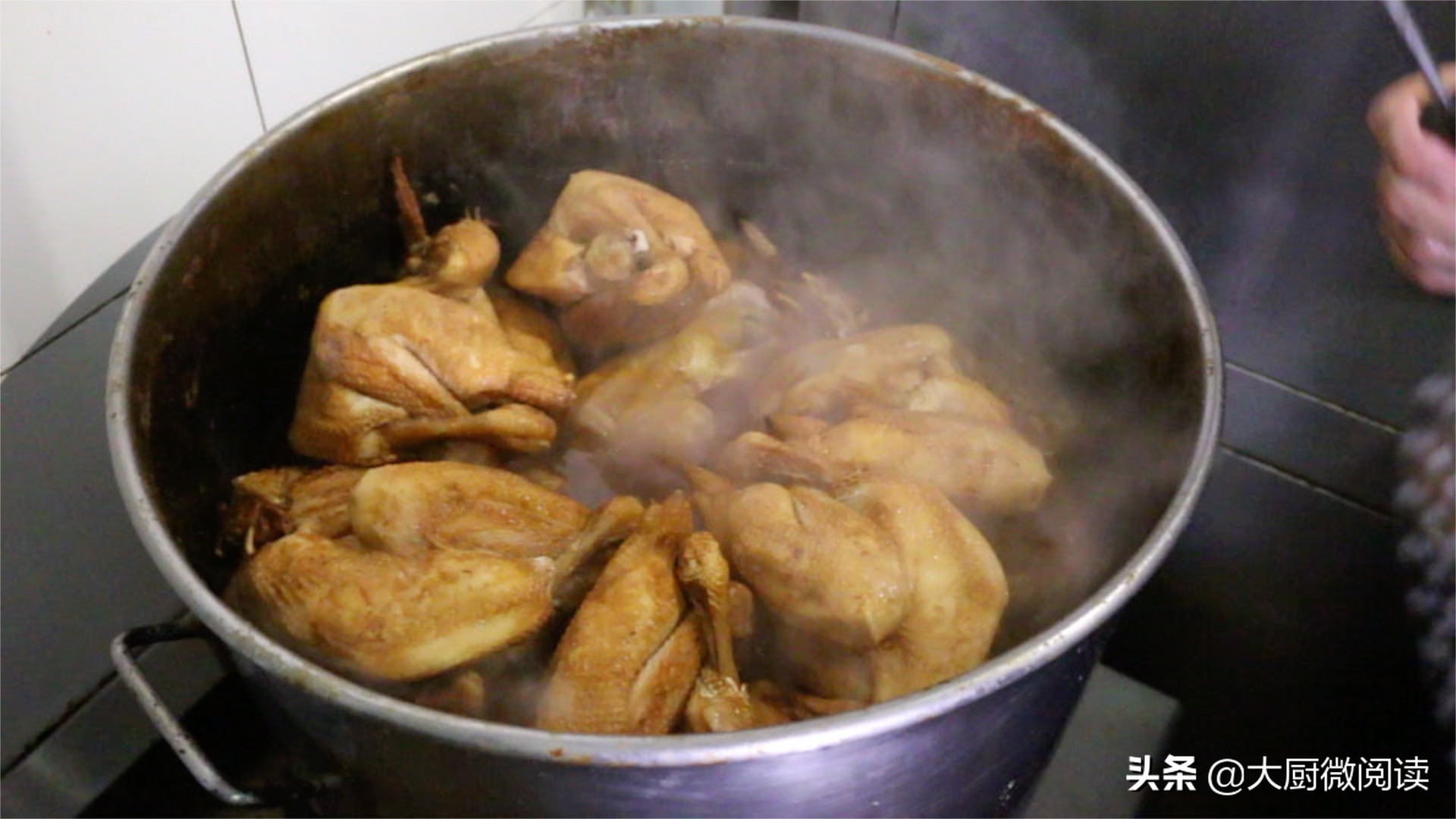 四大名鸡绝密配方,中国四大名鸡种排名