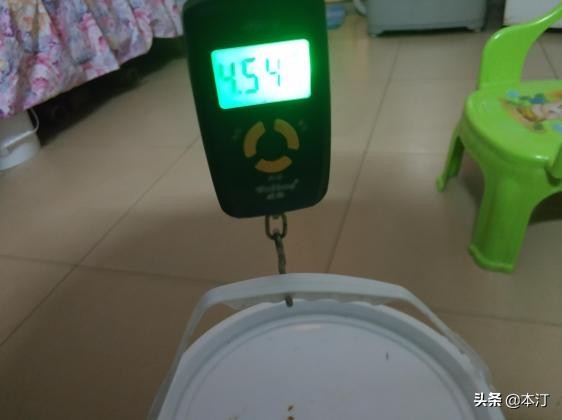 超轻硬七米二鱼竿推荐,本汀太极宗师千斤顶8.1鱼竿测评