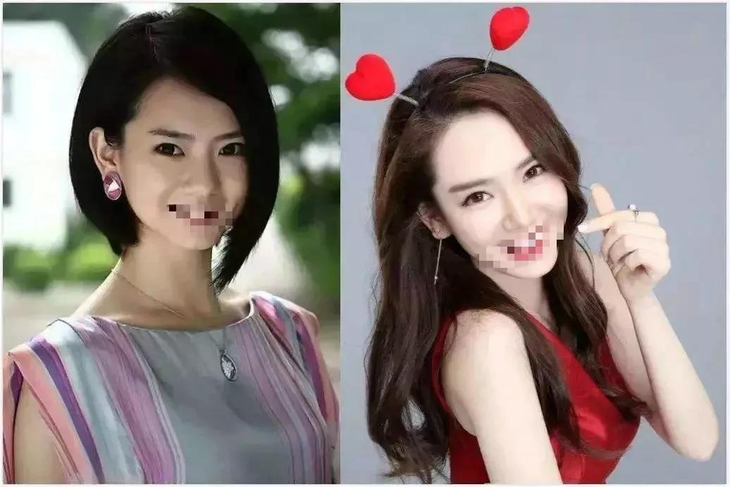 从丑小鸭到白天鹅的经历了什么,从丑小鸭到白天鹅蜕变