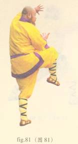 少林心意门拳视频教程,少林长护心意拳图解