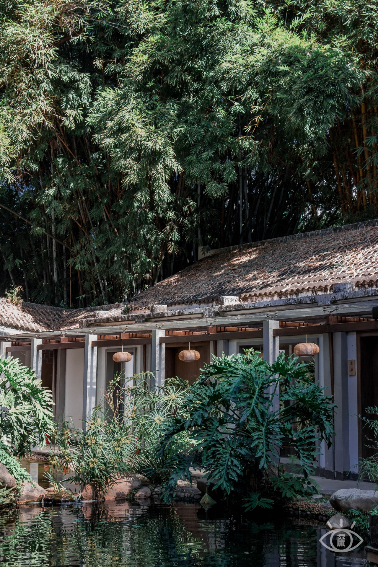 深圳十大顶级公园,深圳市十大风景公园排名