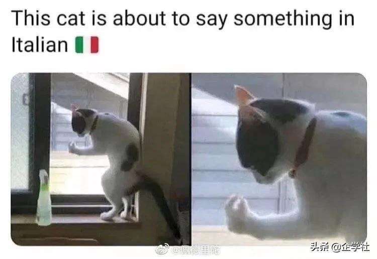 不愧是意大利人,不愧是日语罗马音