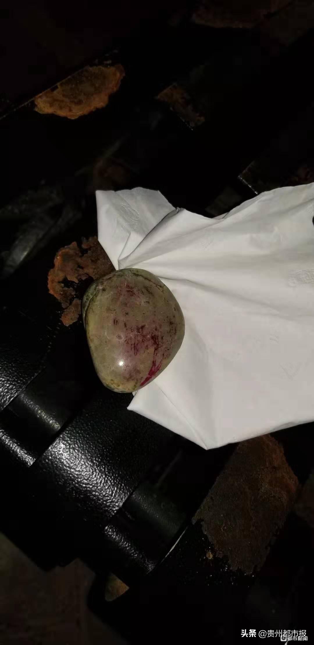 高空抛物差点砸死狗,七旬老太太高空抛物砸狗