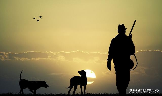 民间传说忠犬传奇故事,民间故事义犬救主视频