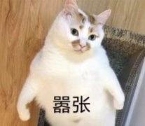 流行的丑裙子,适合春天穿的裙子有哪些