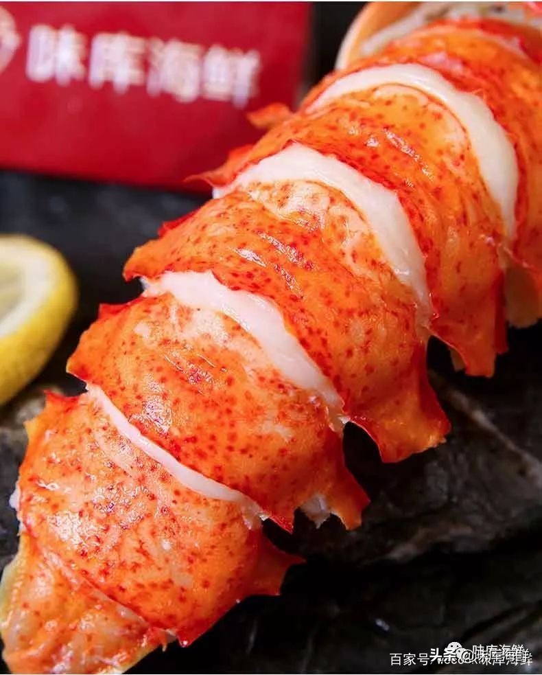 你见过大龙虾吗,你见过像铁球一样的鱼吗