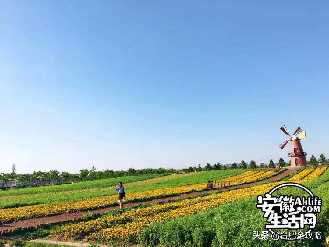 合肥是一座温暖的城市,合肥是一个有灵魂的城市