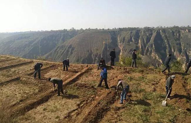 农村闲置土地如何挣钱,农村闲置土地种植什么赚钱