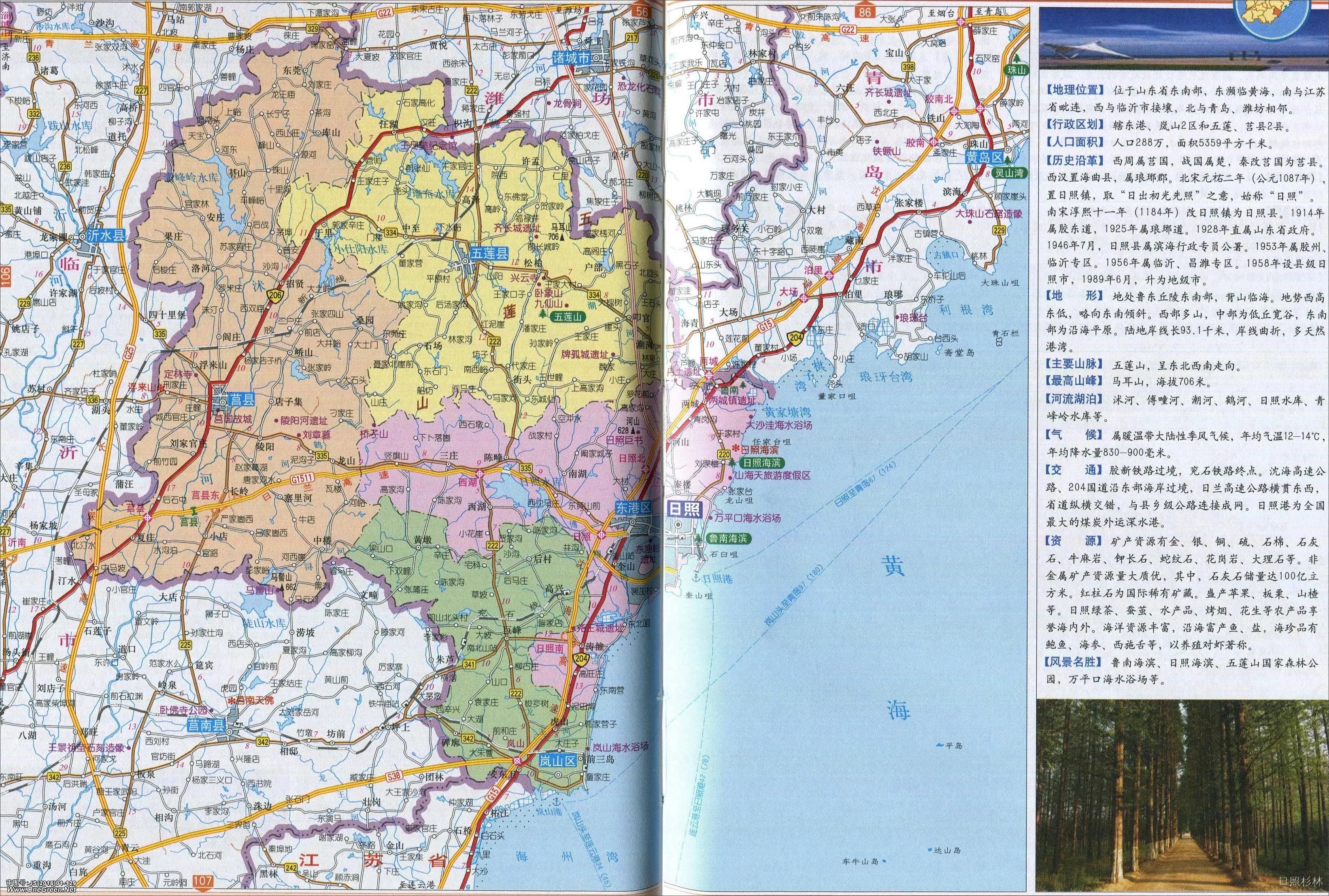 山东出名的茶叶是什么茶叶,日照岚山最好的茶叶