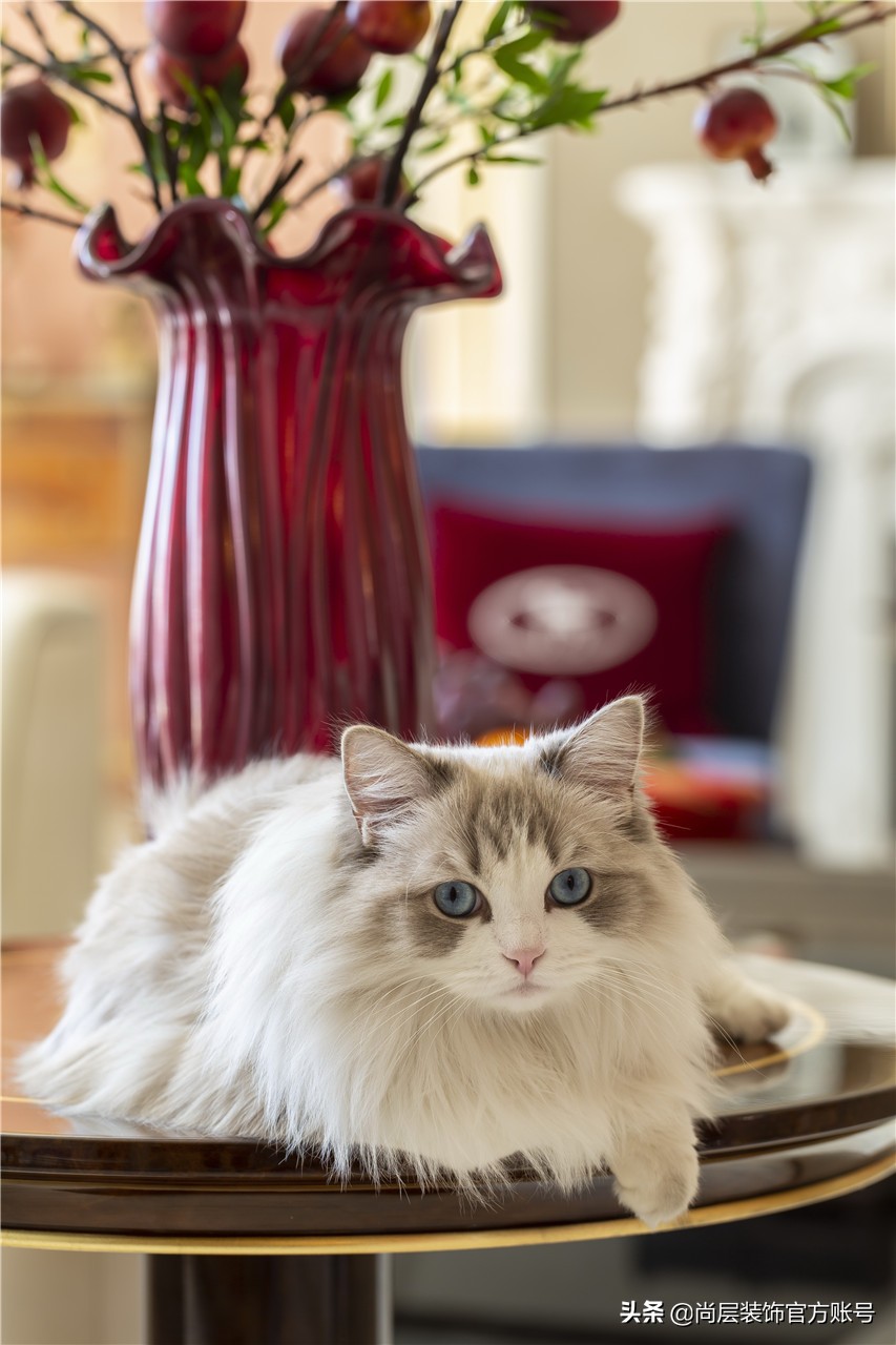 现代轻奢法式别墅装修,十大经典法式别墅装修