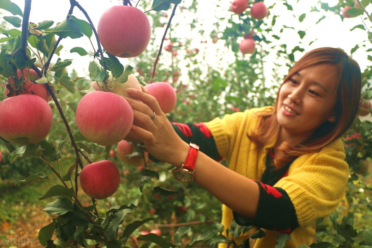 农民收入低除了种地还有什么出路,未来农村种地的出路