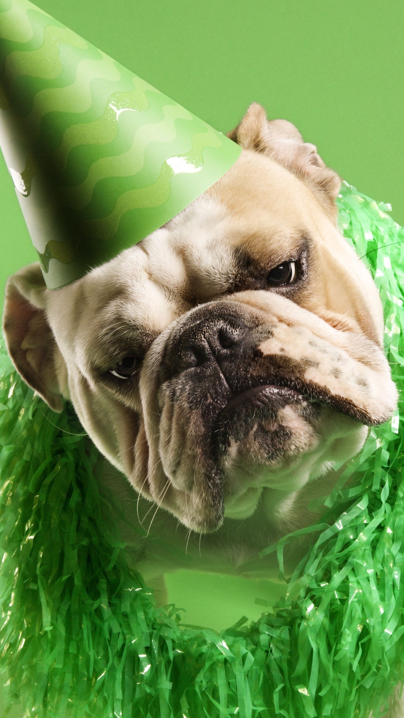 科学上网邂逅4K高清壁纸祝生日快乐贺卡素材，良心无水印系列专辑