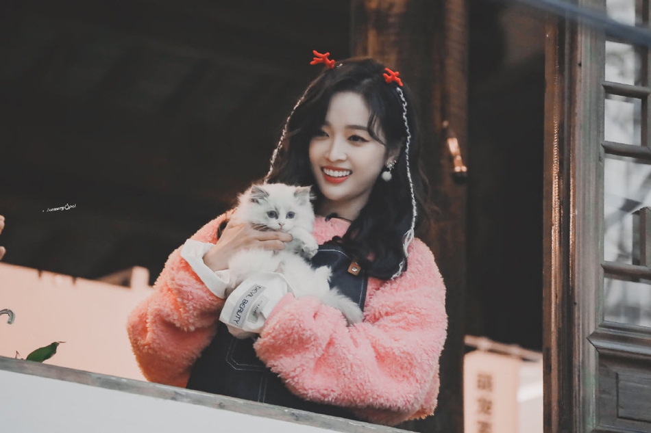 大家都想抱你，除了因为天气，还因为它