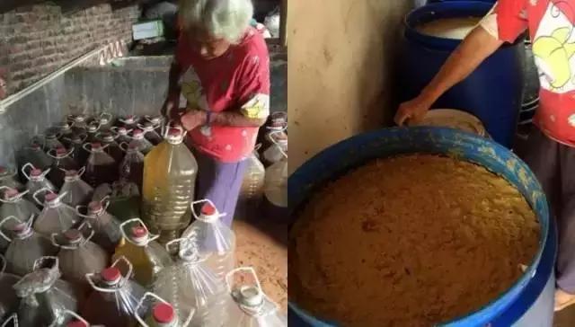 脐橙酵素肥,橙子酵素肥料